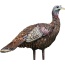 Avian X Lcd Lookout Hen Decoy -